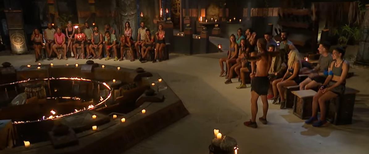 4462836386122076 image