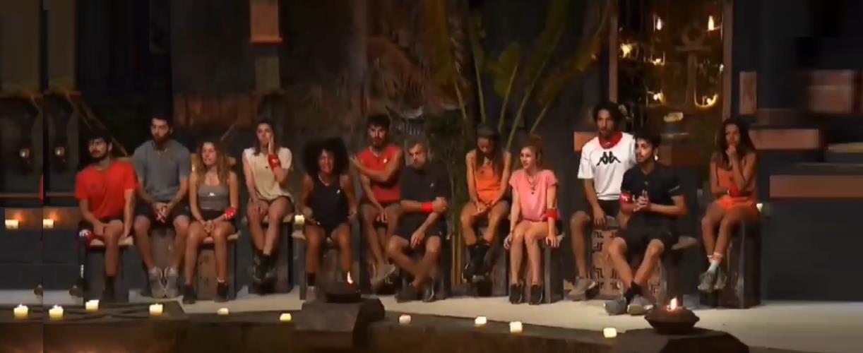 4462975004499688 image