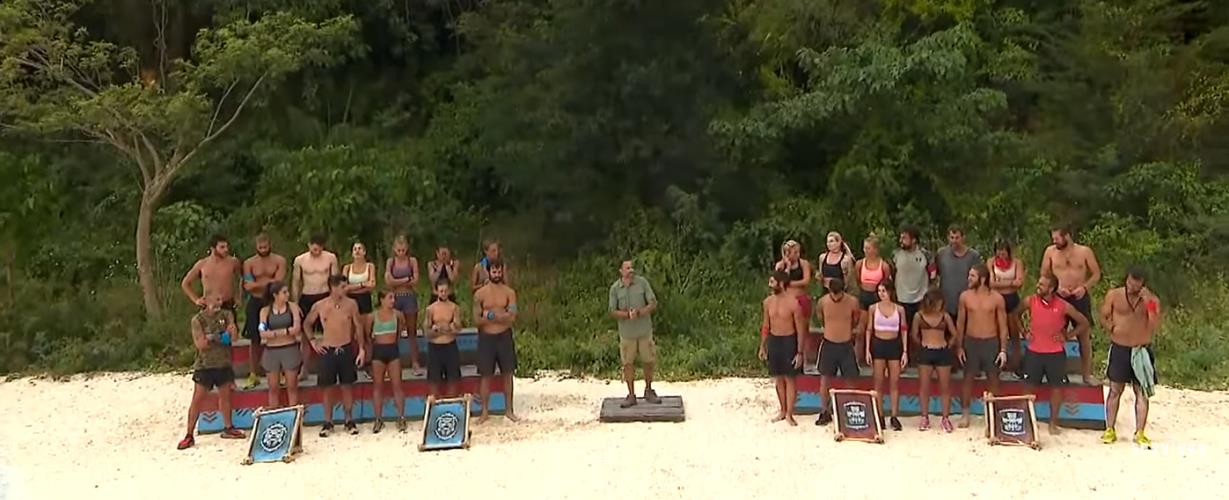 4463708604896092 image