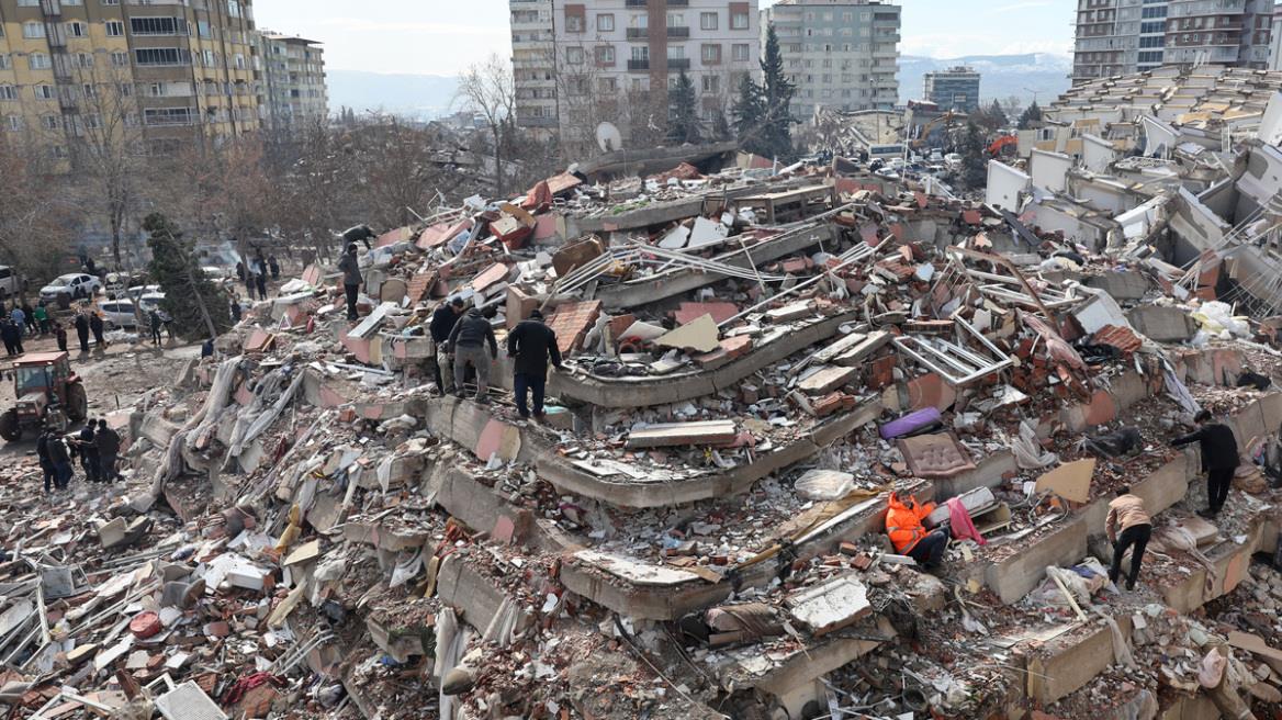 4464110065622627 image