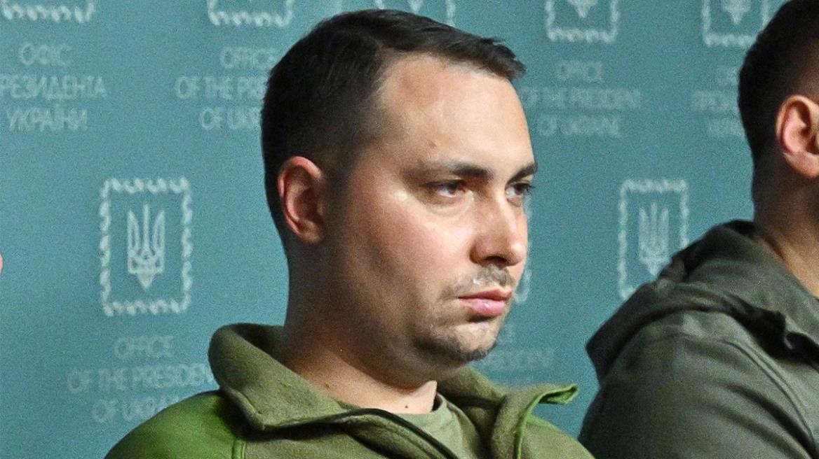 4464126716799888 image