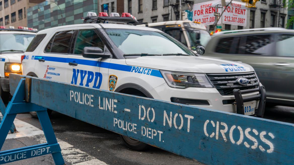 4464600275539244 image