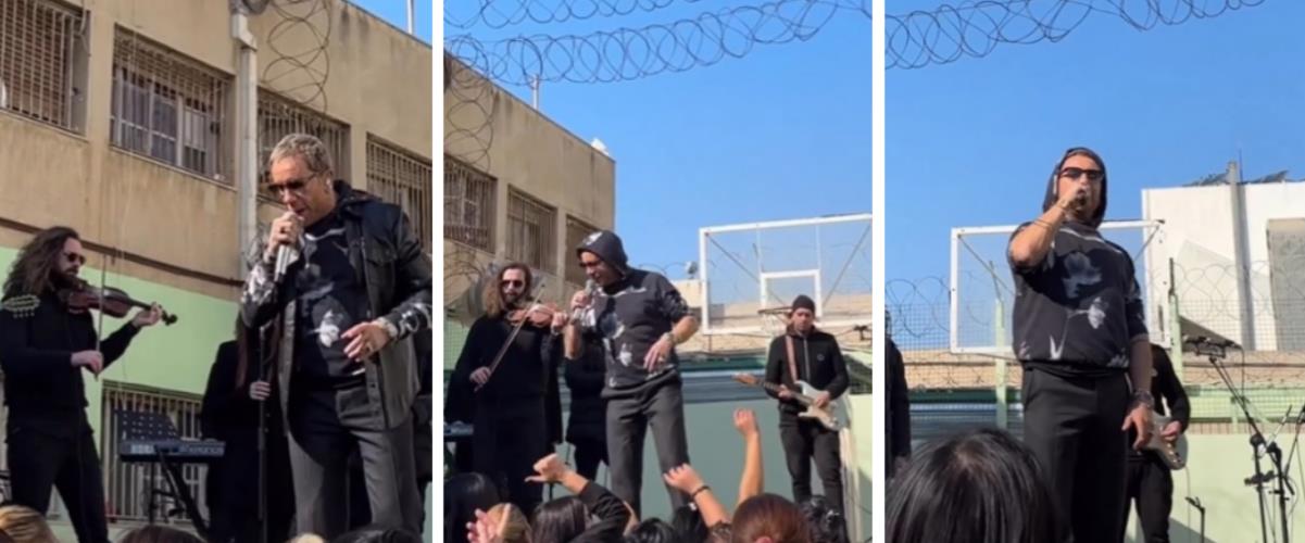 4464608838060634 image