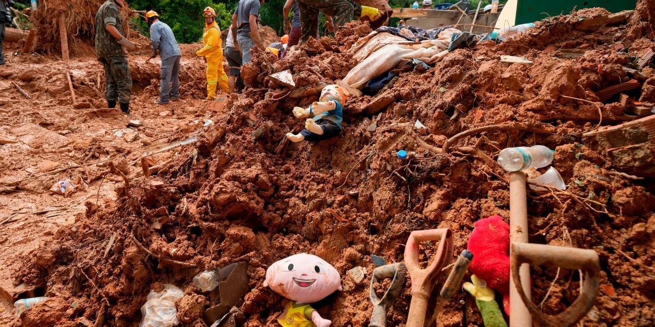 4464611083212634 image