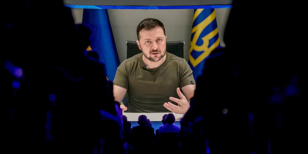 4464627506945633 image