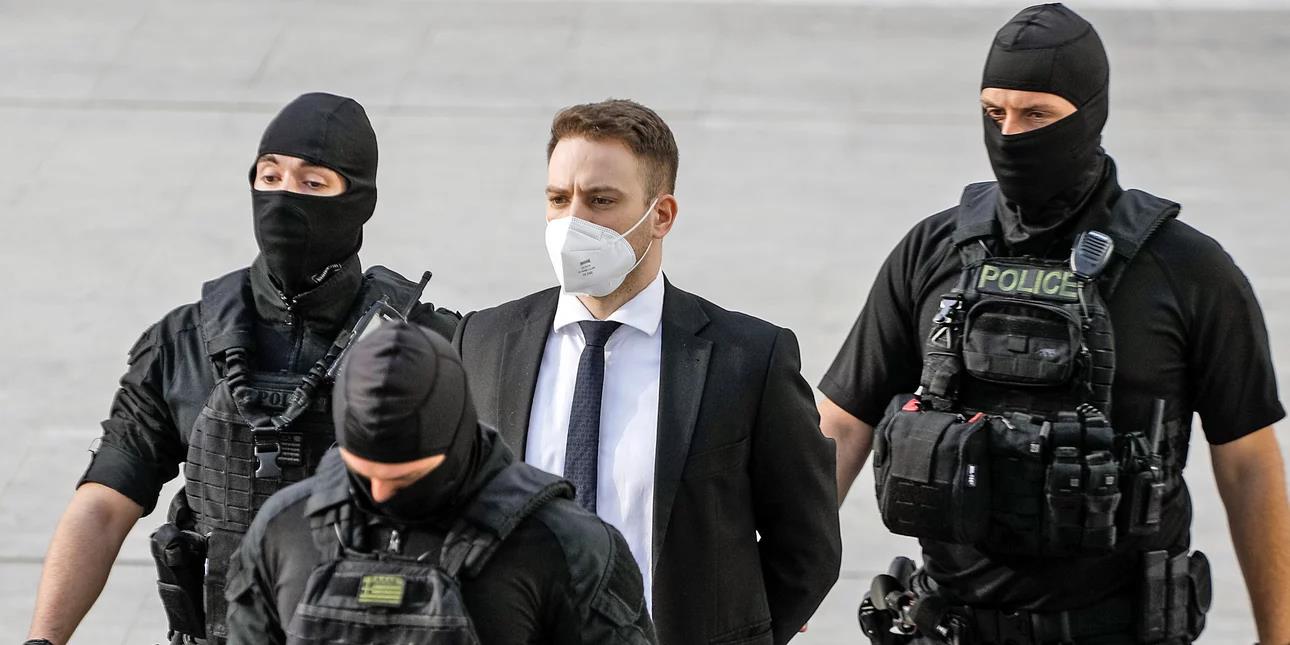 4464722421325213 image