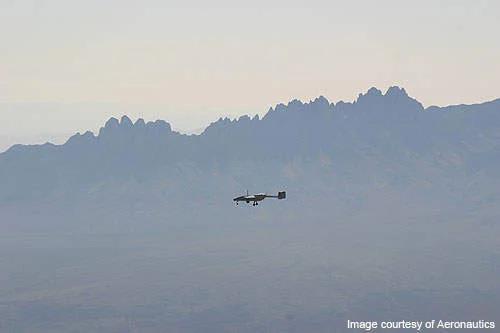 image_2023-05-25_125635719