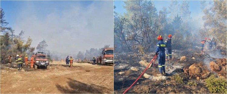 page_YxElNuk.width-750