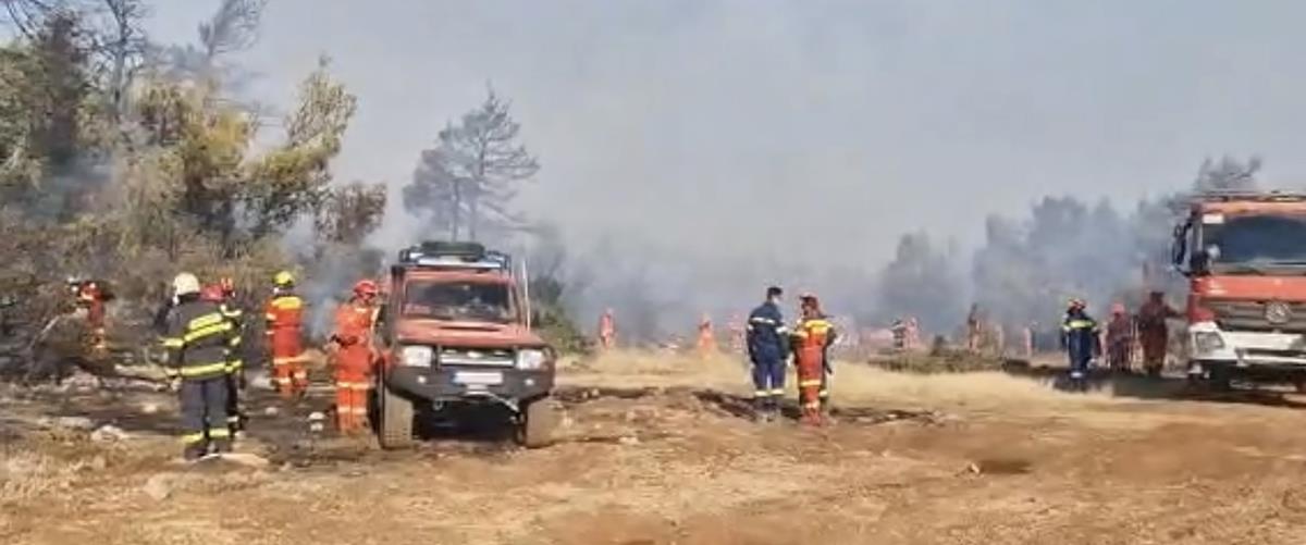 DOC.20230826.5427387.pyrosvestikigreece5