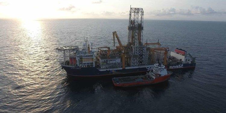 cats_M3VEjHB.width-750.width-750