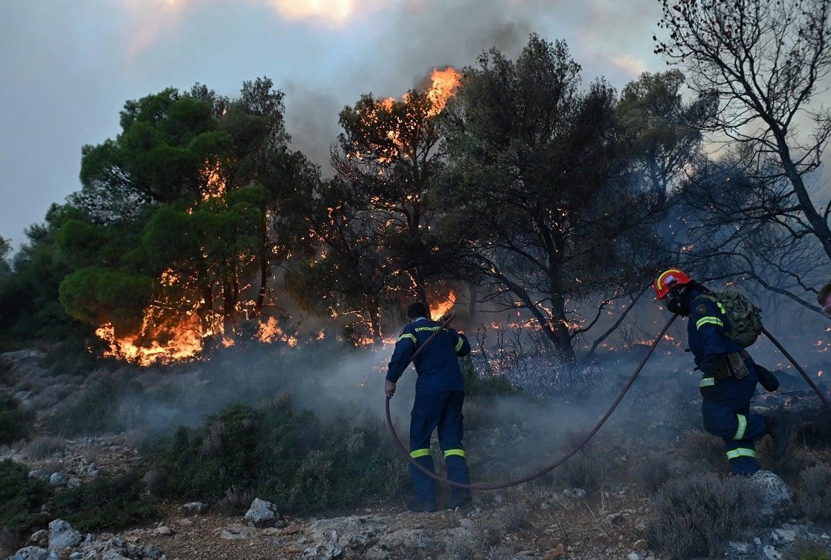 1200_053e3916-3ded-423d-87f0-793f559d0d43