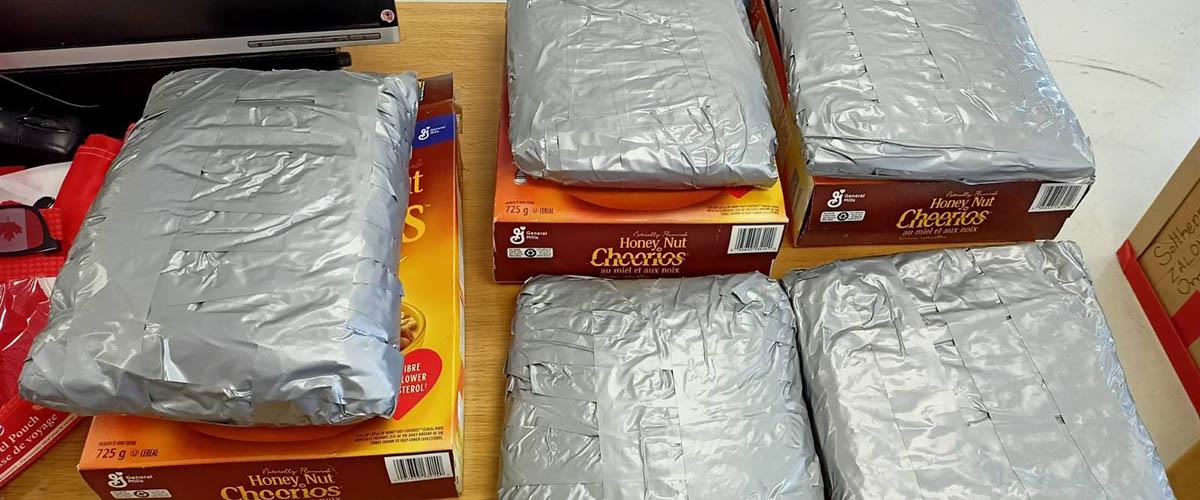 369612834_686419283525995_2936579394359681218_n