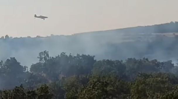 Screenshot-2023-08-19-131624