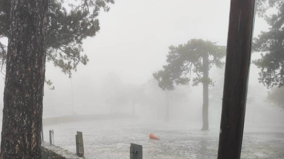 325382637_876230660243549_7857330084434284613_n