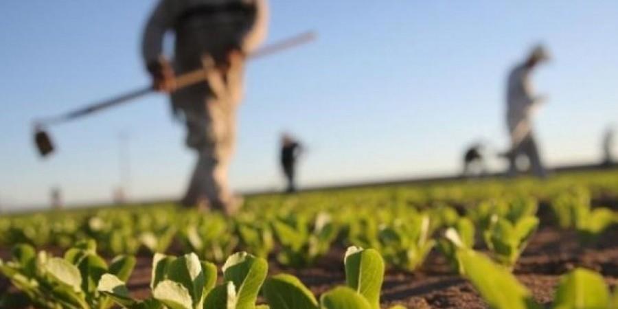 21dd544380615ea24907b3dbdeba3cdf