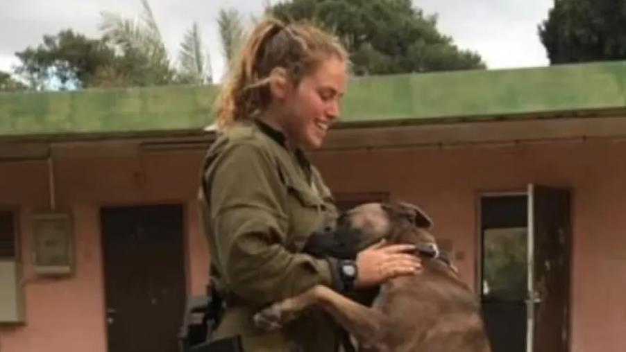 Στιγμιο?τυπο 2023-10-11, 8.39.28 πμ