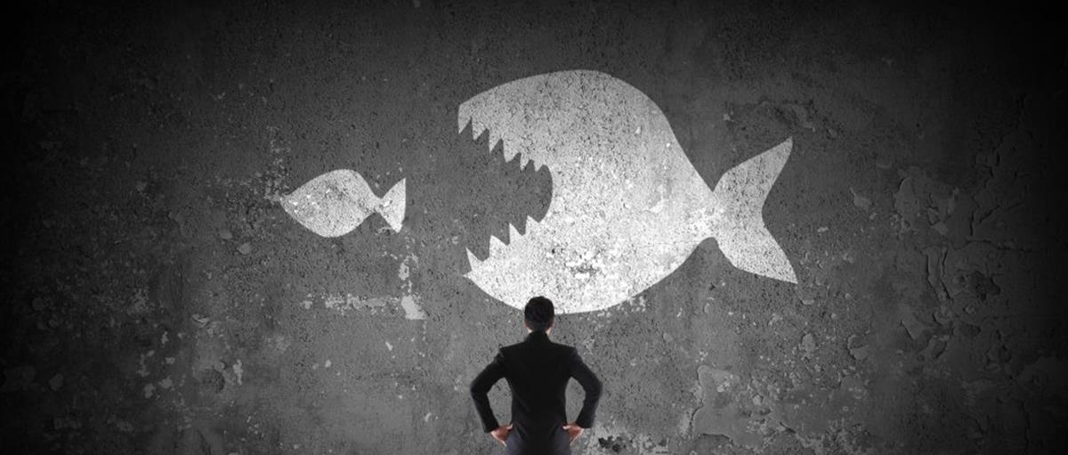 shutterstock_267214307_0