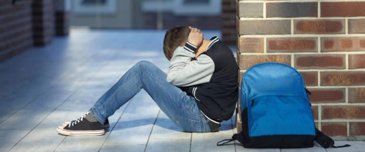 thumb__800_0_0_0_auto