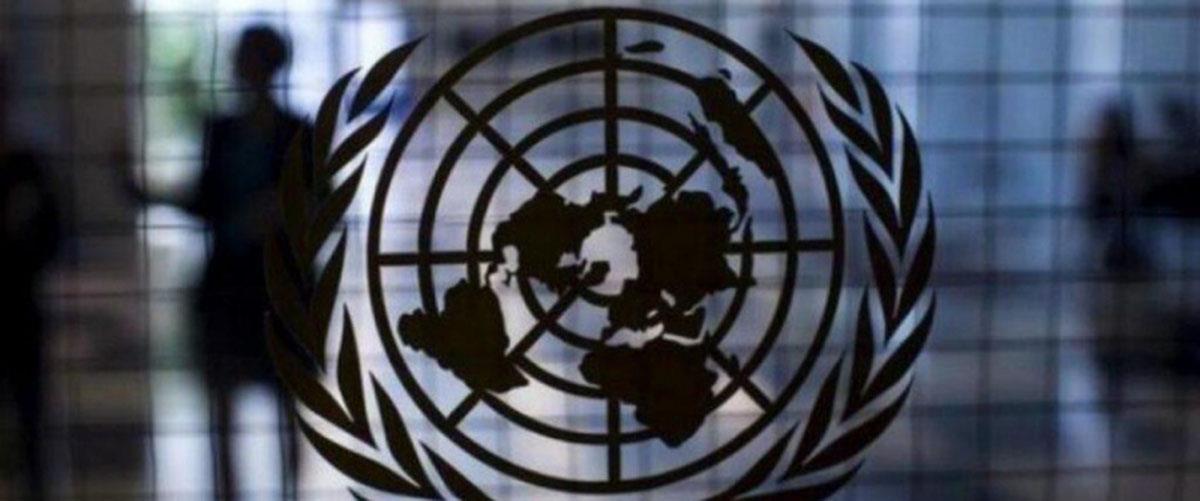 thumb__800_0_0_0_auto