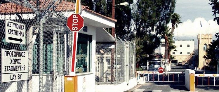 cats_U2FtmTP.width-750