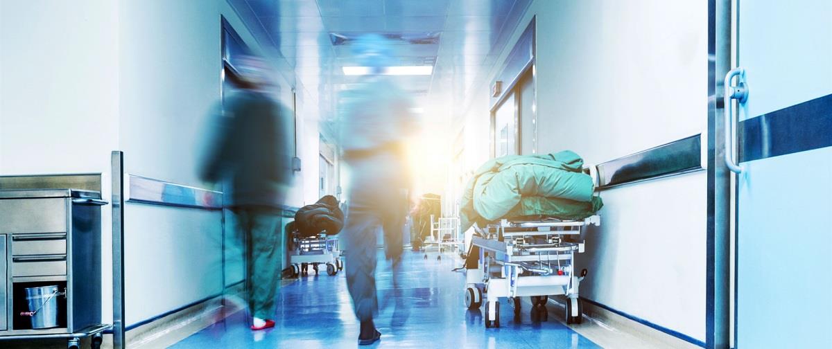 ed36516f268c34b7879b5a1dfbb62c95_shutterstock_1723539244-100-3