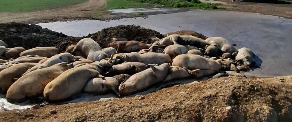 475088419_1646075729314151_132860806841819959_n