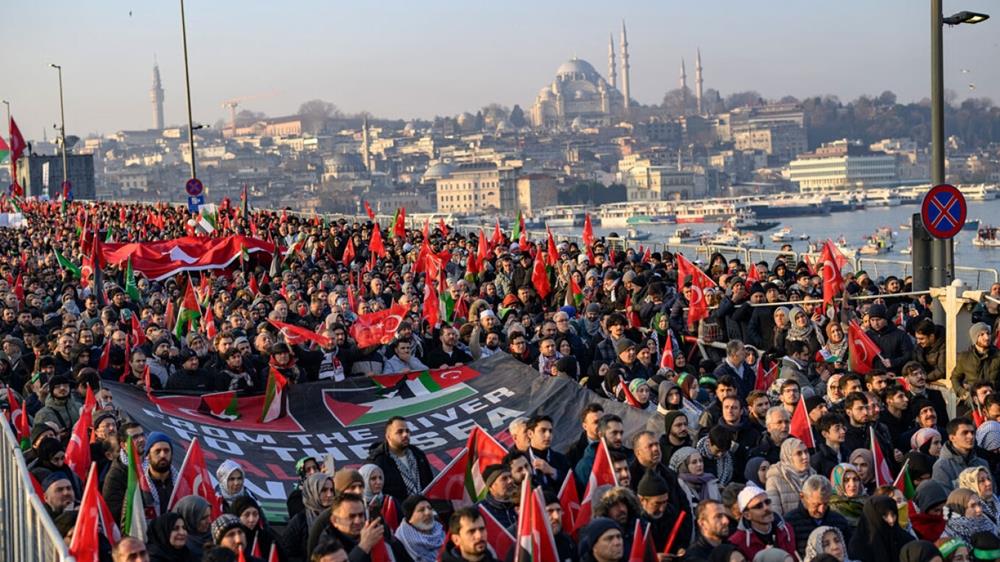 turkey_arthrou