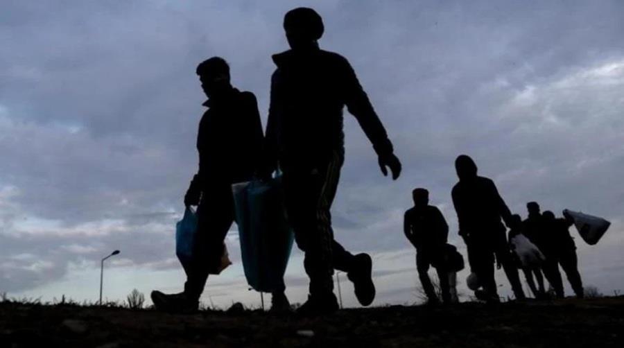 METANASTES_MFumU29.original