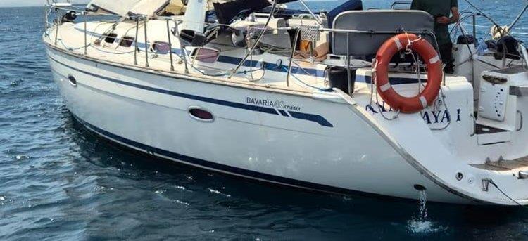 5199063086874442 cats QcpxMLZ.width-750