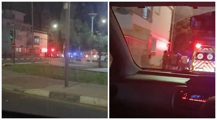 5201764594100007 collage CLGvgOx