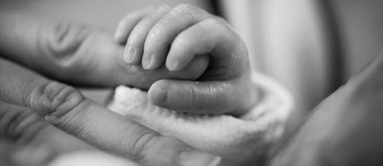 5207070384637268 cats yuXaeZn