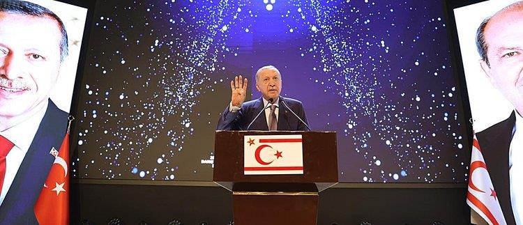 5223453199143186 cats GNeE5Zr