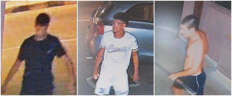 5223535591438820 page 7imUylZ