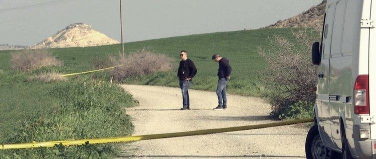 5224066034715292 cats qMbGpCu