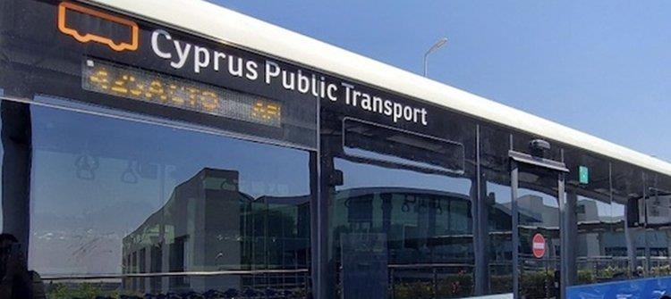 5231154514153762 cats 4zG98xg.width-750