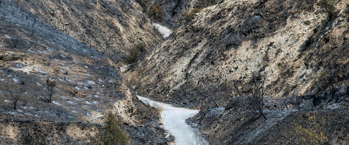 5231416422112159 download