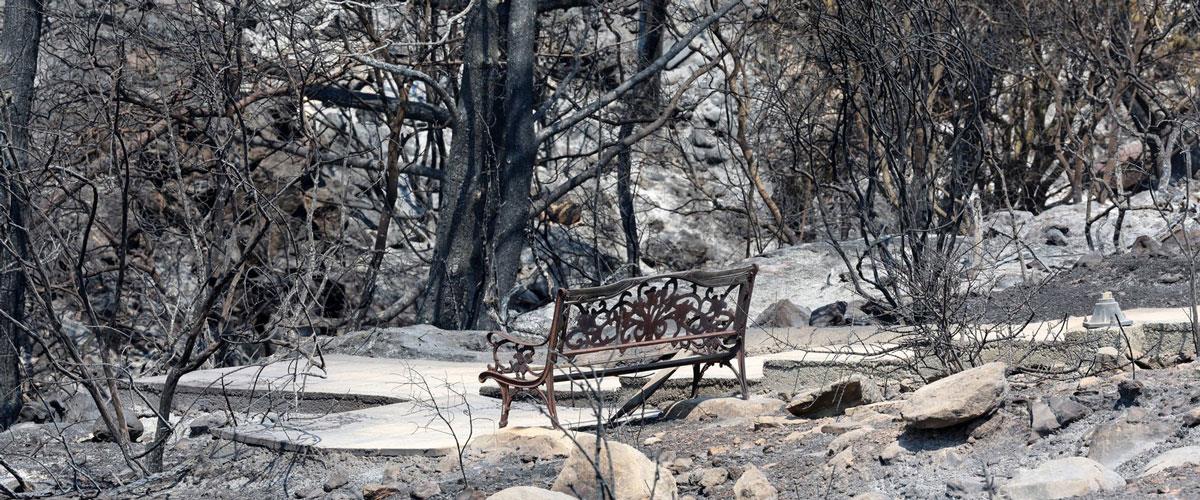 5231785867070956 lemesos