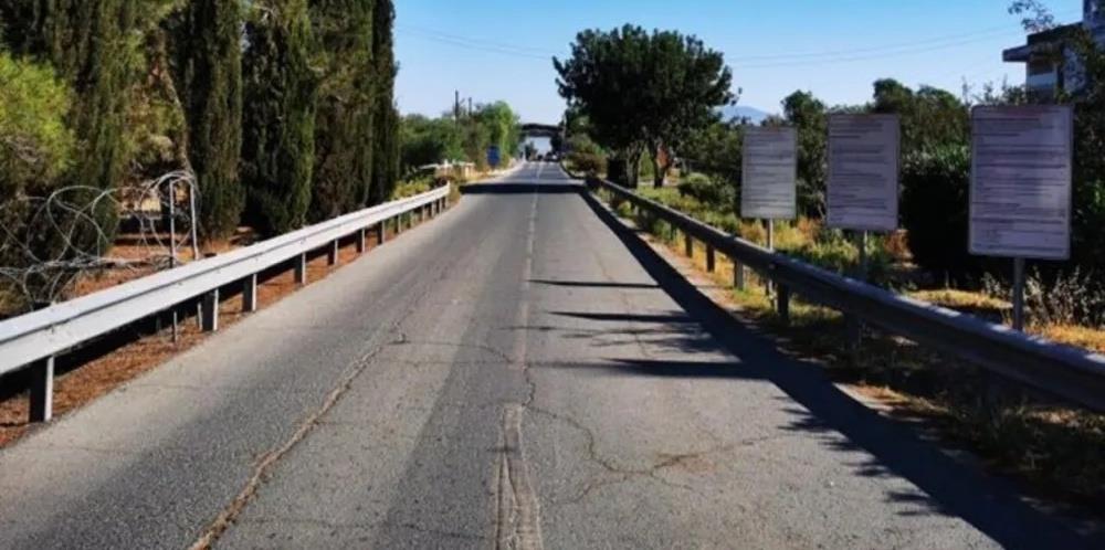 5232274183084716 cats