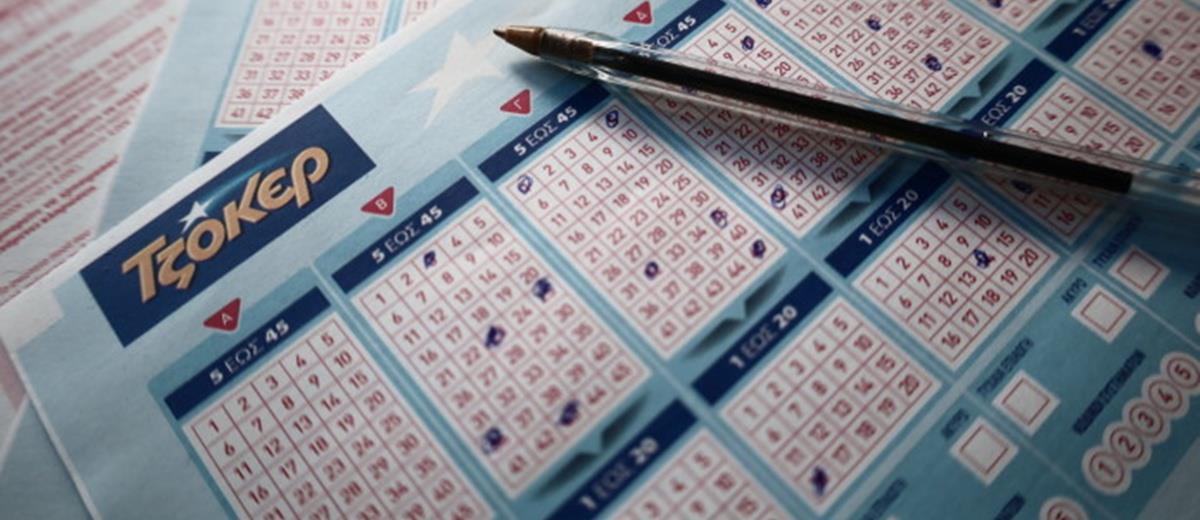 5232329141356511 cats