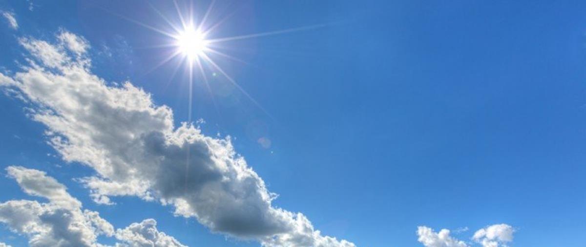 5232640329522204 cats