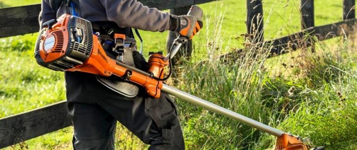 5232702845066296 cats