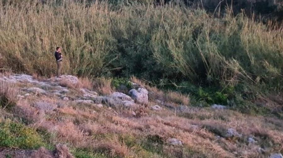 5233679036556665 βρεξη 1