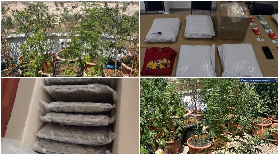 5234434233232977 page