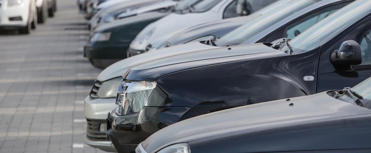 5235375922265796 cats