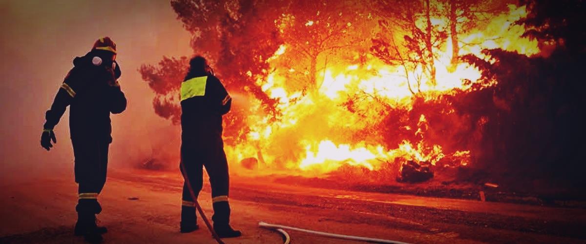 5235519862539437 cats