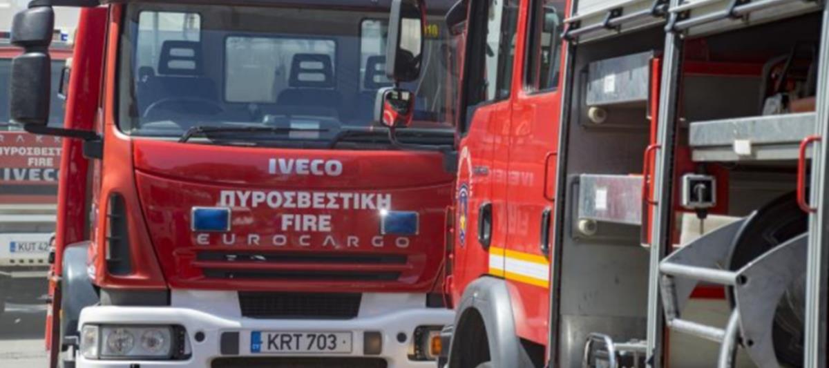 5236114579351015 cats