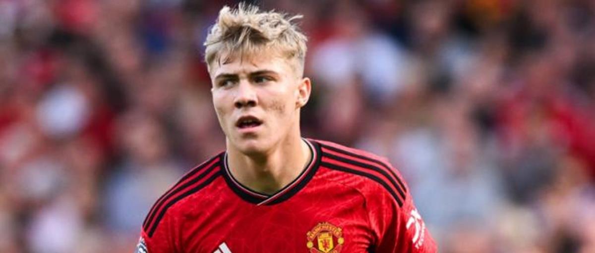 5236137629214728 cats