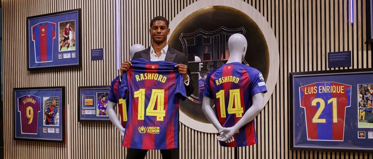 5236187859467211 cats