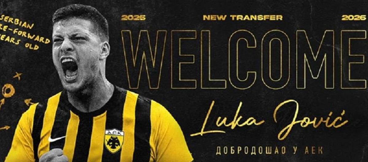 5236265531660480 cats