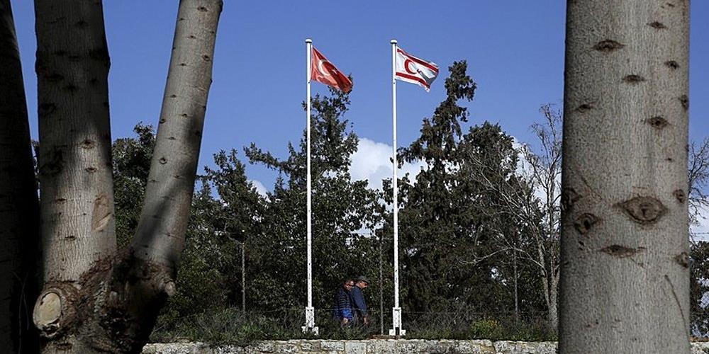 5236280412354128 cats